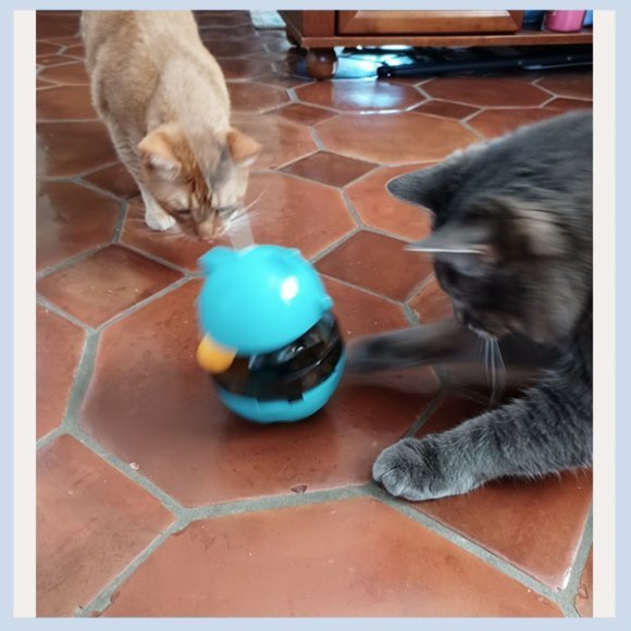 Fortune Cat Tumbler Ball, Cat Food Toy, Cat Toy TWO LEFT! - Picture 5 of 7